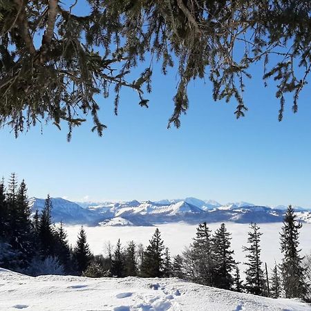Ferienwohnung Floriani Saint Wolfgang Exteriör bild